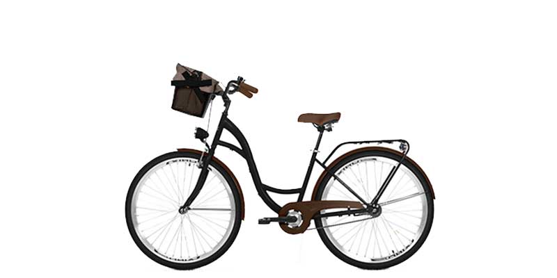 Bio-Fahrrad (ohne